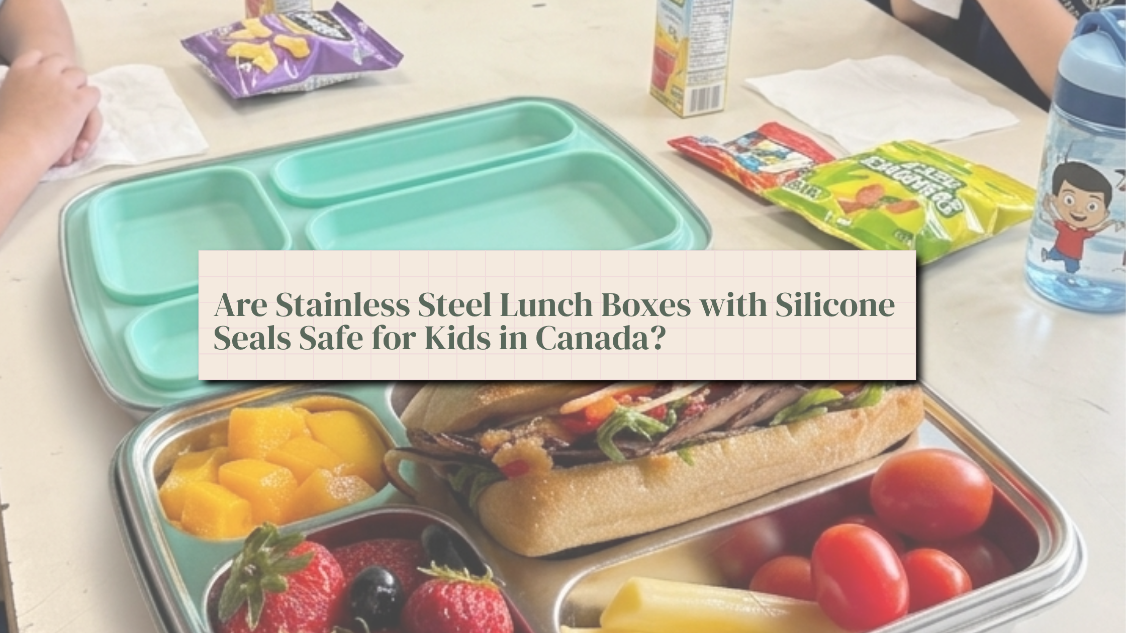 Nom Quad stainless steel lunch box with food-grade silicone compartments packed with a healthy school lunch for kids in Canada.