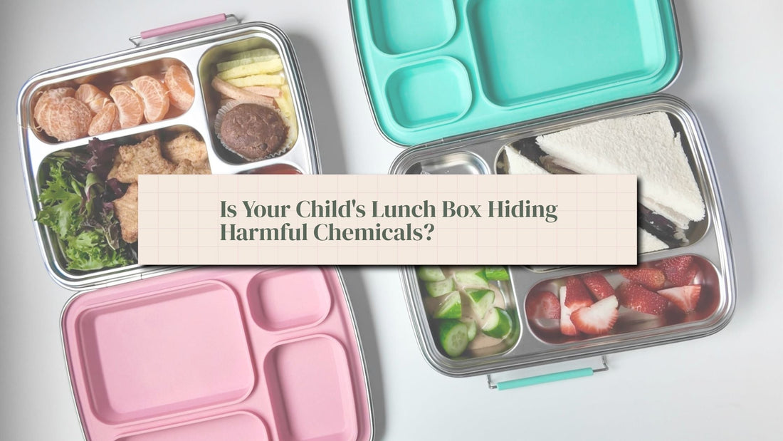 Stainless steel lunch boxes with fresh food — is your child's lunch box hiding harmful chemicals?