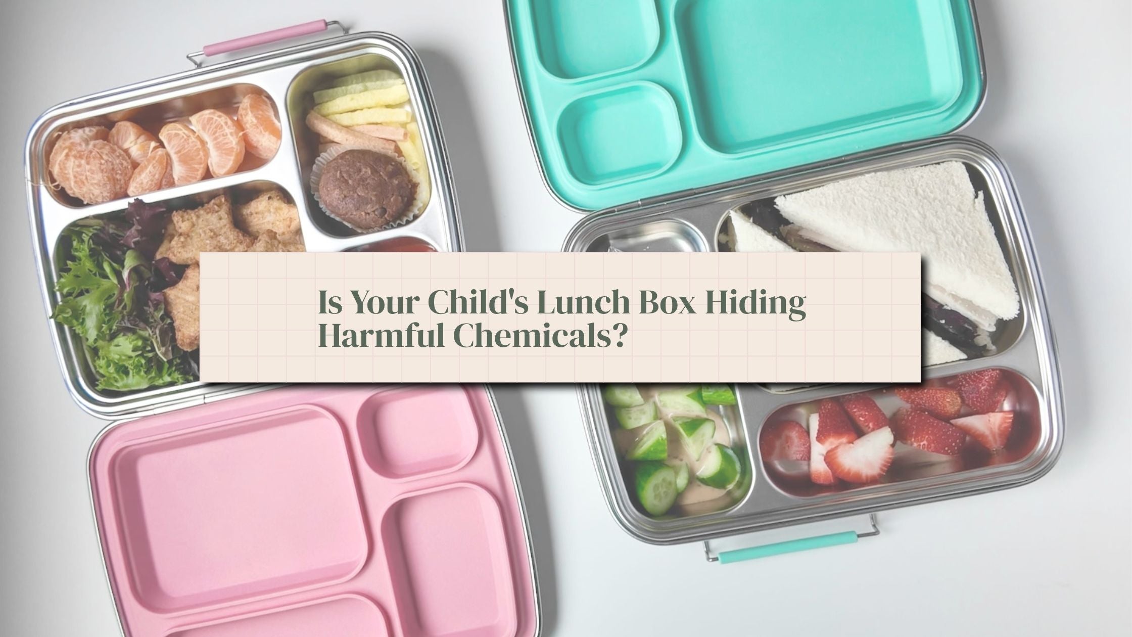 Stainless steel lunch boxes with fresh food — is your child's lunch box hiding harmful chemicals?